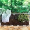 Transparent Acrylic Reptile Box For Spiders Tortoise Lizard Breeding Insect Box Vents Sliding Small Pet Terrarium Vivarium 2020