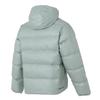 Nike Men's Casual Hooded Winter Down Jacket HQ7791-370