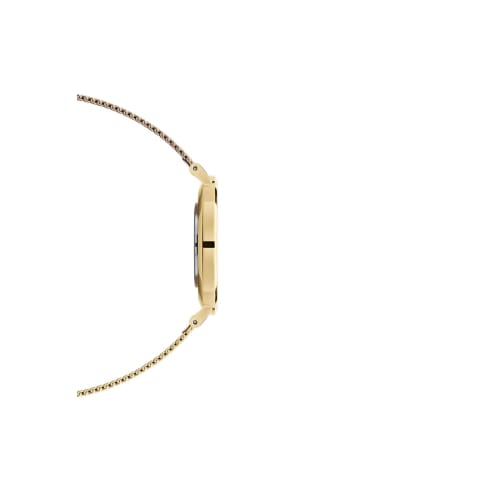 [Official Shop/2-Year Warranty/Authentic Import] Daniel Wellington DW Watch for Men and Women, Petite Evergold YG Black, 36mm, Stylish Watch with Mesh