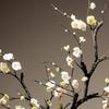 Elegant Pink Plum Blossom Dried Flower Bouquet for Home Decoration