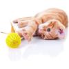 10Pcs Cat Colorful Rainbow Toys Flutter Balls with Feather and Bells for Indoor Ourdoor Kitty Kitten Interactive Playing Chewing Training Chasing