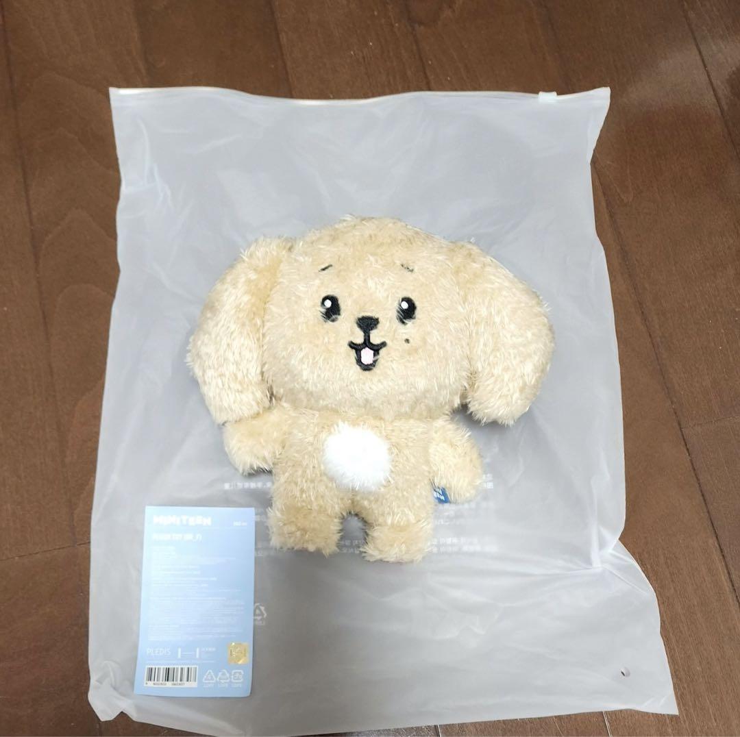 

[USED] SEVENTEEN DK MINITEEN Pop-up Plush Toy