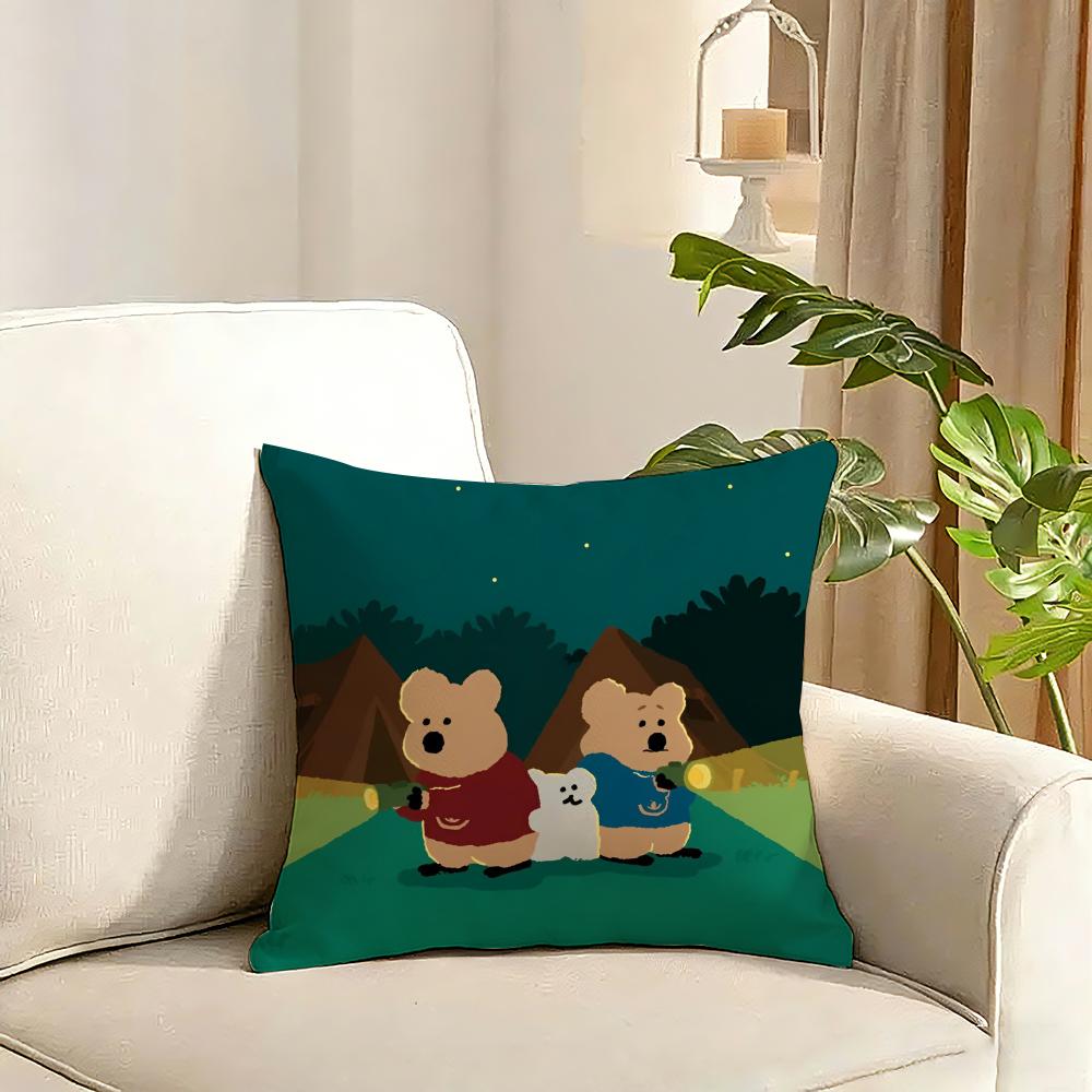 Korean stationery DDinotaeng Cushion Cover Reversible Plush Pillow Cover Soft Fluffy Home Decor for Sofa Bedroom