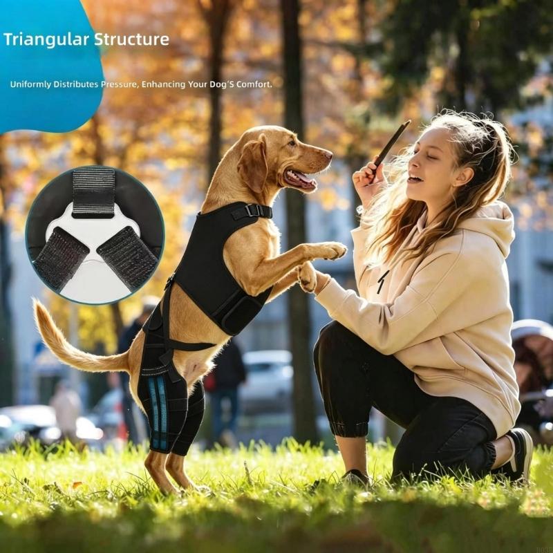 Attelle de soutien pour la patte arrière du chien pour déchirure et dysplasie de la hanche avec sangle réglable et stabilisateurs Support de jambe B03E