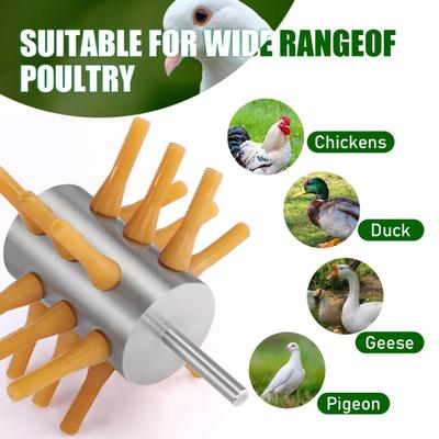 50 dedos desplumadores de pollos, accesorios para máquina de depilación de plumas de aves de corral, dedos de goma para desplumar pollos, pavos, patos y gansos