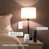 US Standard WiFi Smart Switch with Voice Control & App Remote Control