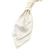 [NECOTIA] Amazon Exclusive Brand Necktie - Plain Paisley Pattern, One-Touch Fastening Ascot Tie - Perfect for Weddings, Graduations, Concerts,