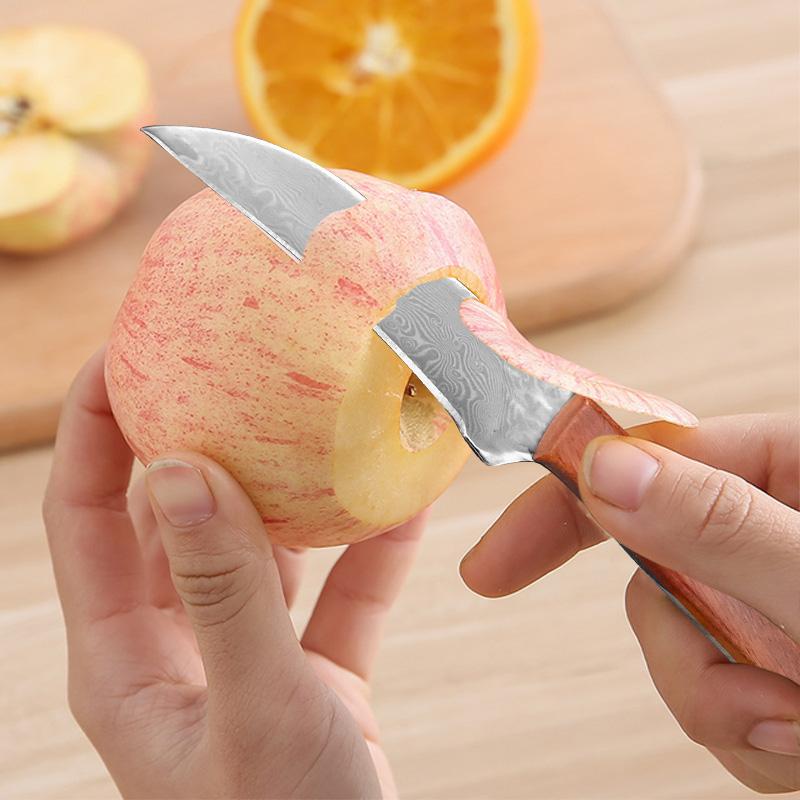 Professional Kitchen Boning Knife Damascus Steel Chef Slaughtering Fish Meat Cleaver Cutting Knives for Fruit Cooking Tools