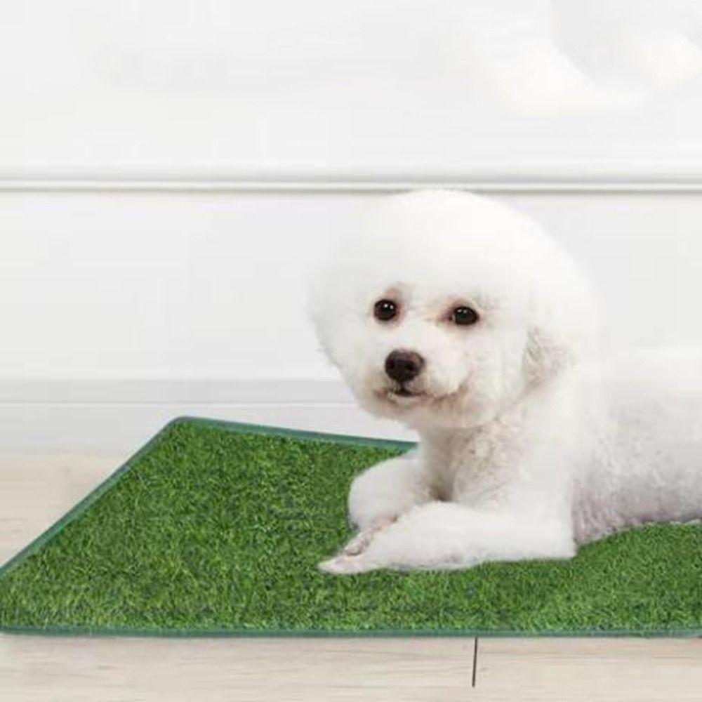 Comfortable Artificial Dog Grass Mat Breathable Pet Pee Grass Pad Dog Litter Mat Outdoor