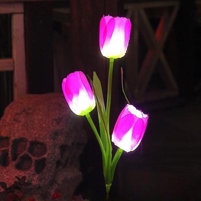 Solar Tulip Garden Light