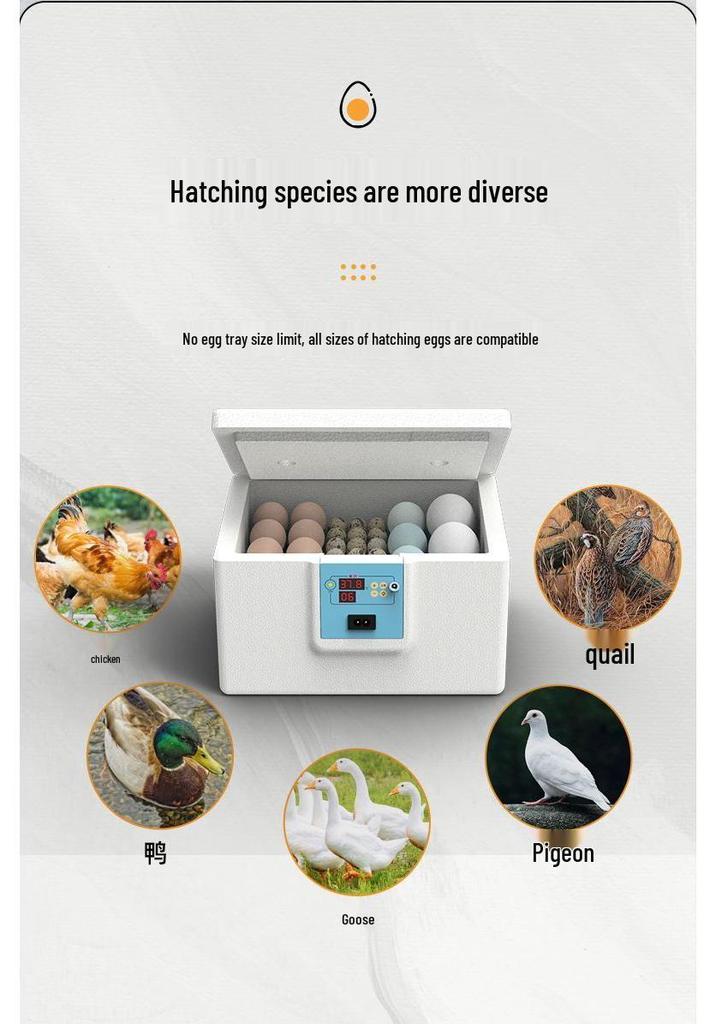 Intelligenter Automatischer Eierbrüter für Hühner, Enten und Vögel mit Temperaturregelung