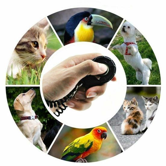 Pet Trainer Oval Shape Elastic ABS Dog Training Clicker for Outdoor