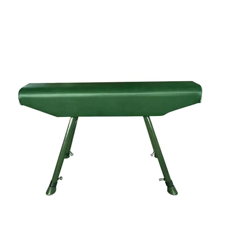 Gymnastics Training Pommel Horse