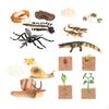 The World of Nature with Interactive STEM Toy Set