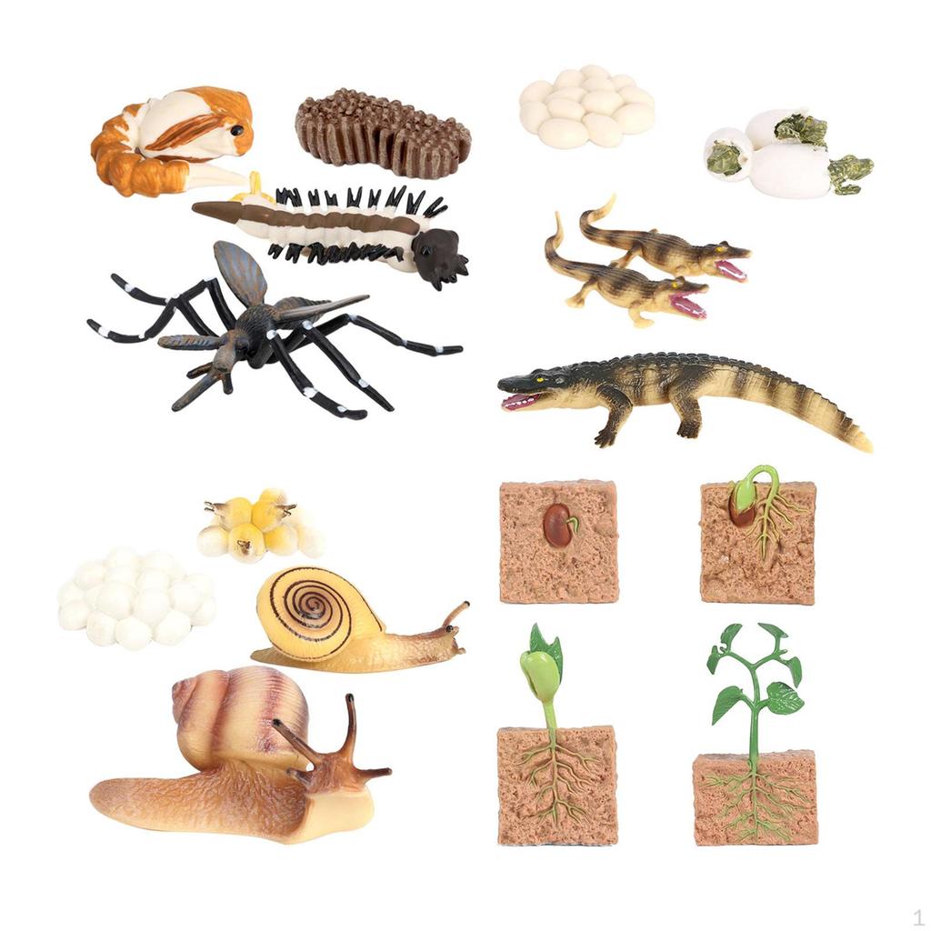 The World of Nature with Interactive STEM Toy Set