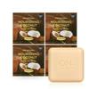 The Natural Coconut Soap Bath Hand Body Wash Face Shower Wash Soap 90g X 4 (30467547)