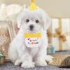 Pet Costume Dog Supplies Birthday Cat Hat Wear Resistant Lightweight Portable Reusable B Fits Occasions Easy Storage