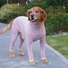 Full Cover Big Dog Jumpsuit Dog Recovery Suit After Surgery Anti Shedding Bodysuit Pet Claming Pajamas For Medium Large Dogsowns