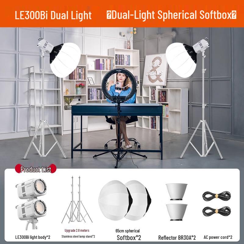 Godox LE300Bi Bi-Color LED Video Light Kit