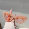 Cat Eye Sunglasses Women Fashion Vintage Candy Color Rim Decor Shades Trendy Outdoor Brand Design Gradient Sun Glasses