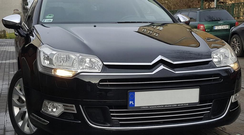 Citroen C5 III - Strisce Cromate Per Griglia Cromata