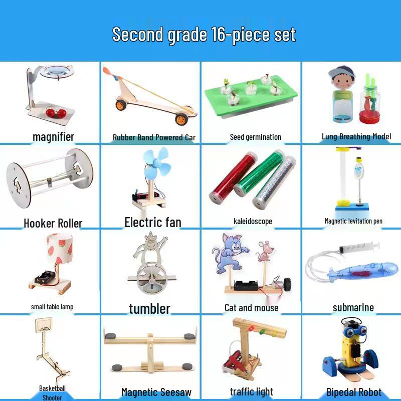 Elementary Science Experiment Wooden DIY Kit - Educational Toys