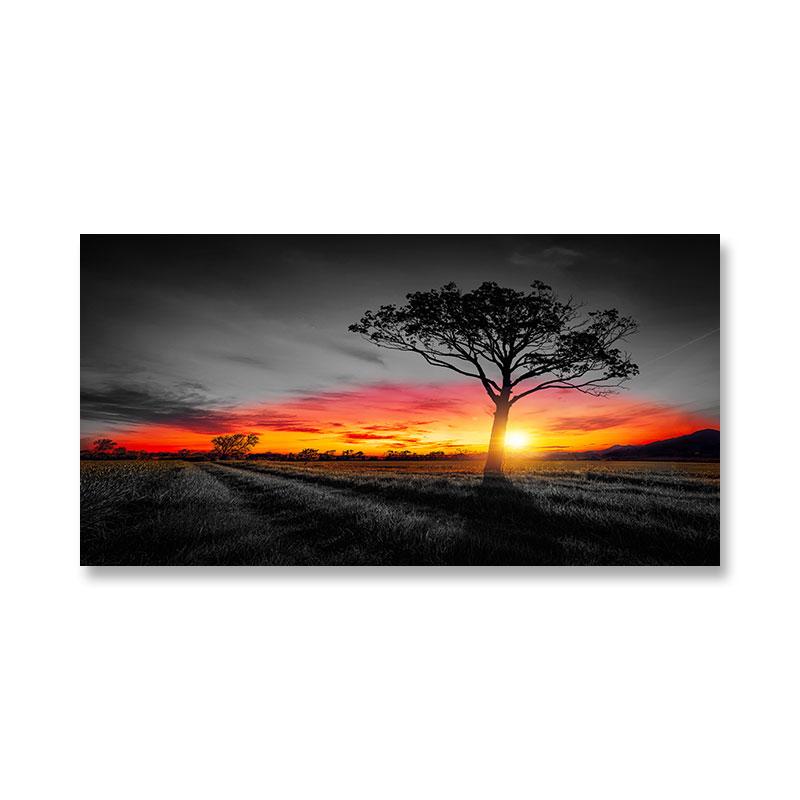 Modern Sunrise Sunset Landscape Canvas Painting Sun Tree Wall Pictures Mystery Color Wall Art for Living Room Wall Decor Cuadros
