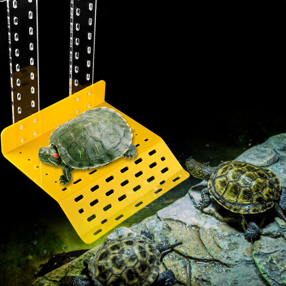 

Turtle Basking Platform Reptile Tortoise Floating Platform Terrace For Aquarium Fish Tank
