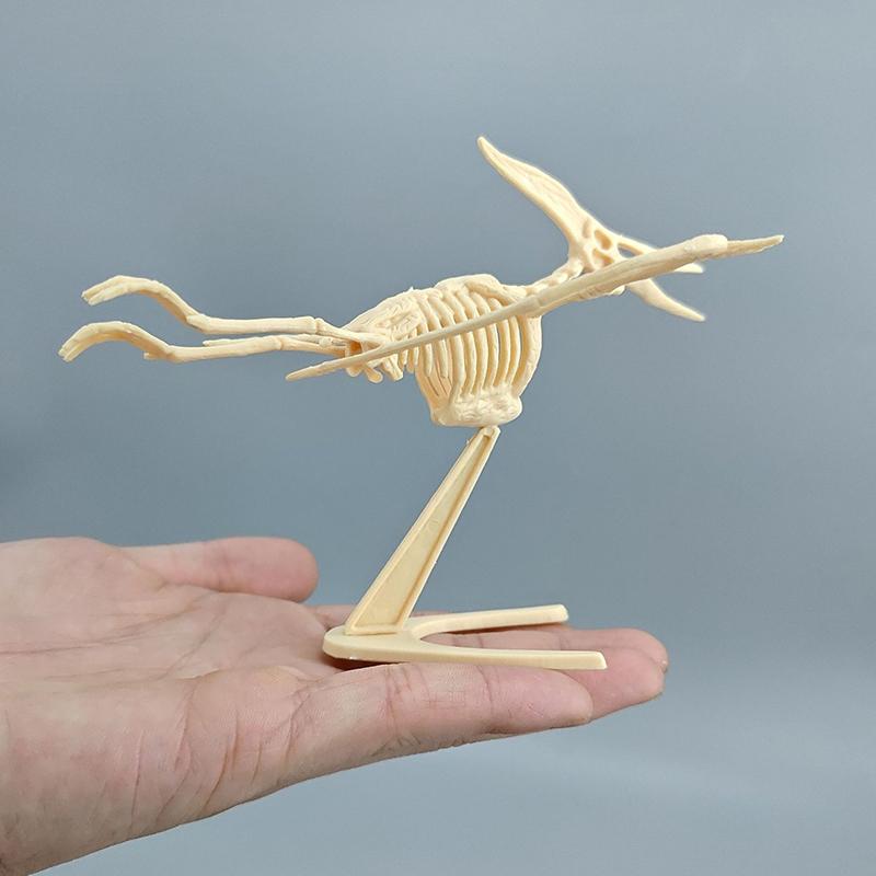 1 Set Kid Toy Diy Assembly Jurassic Dinosaur Fossil Skeleton Mosasaurus Tyrannosaurus Action Figure Collection Creative Model