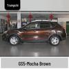 Ivory White and Bright Moon Gray Touch-Up Paint Pen for GAC Trumpchi GS5 - Scratch Repair Solution