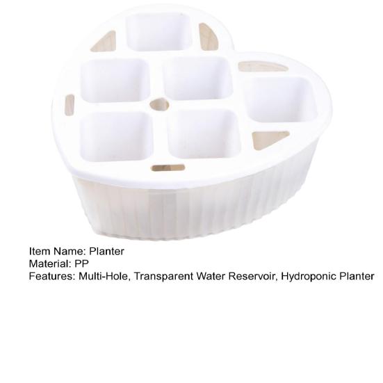 Tulip Bulb Planter Hydroponic Plant Growing Container with Clear Water Reservoir Multi-Hole Hydroponic Planter for Home Gardening Narcissus Hyacinth