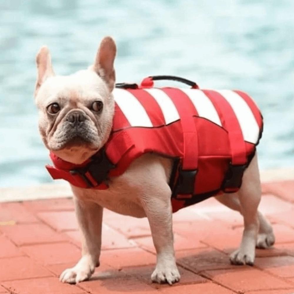 Reflective Dog Life Jacket Superior Buoyancy Swimwear Safety Vest  Summer Swimming