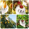 Telescopic Fruit Collection Tool Adjustable 3.3ft To 13ft Handle With Durable Stainless Steel Head For Gathering Apples Pears Oranges In Gardens