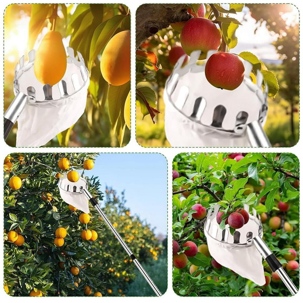 Telescopic Fruit Collection Tool Adjustable 3.3ft To 13ft Handle With Durable Stainless Steel Head For Gathering Apples Pears Oranges In Gardens