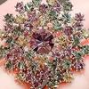 Women Brooch Sparkling Colorful Rhinestones Decor Dandelion Design Lapel Pin Sweater Scarf Badge Clothing Bags Accessories