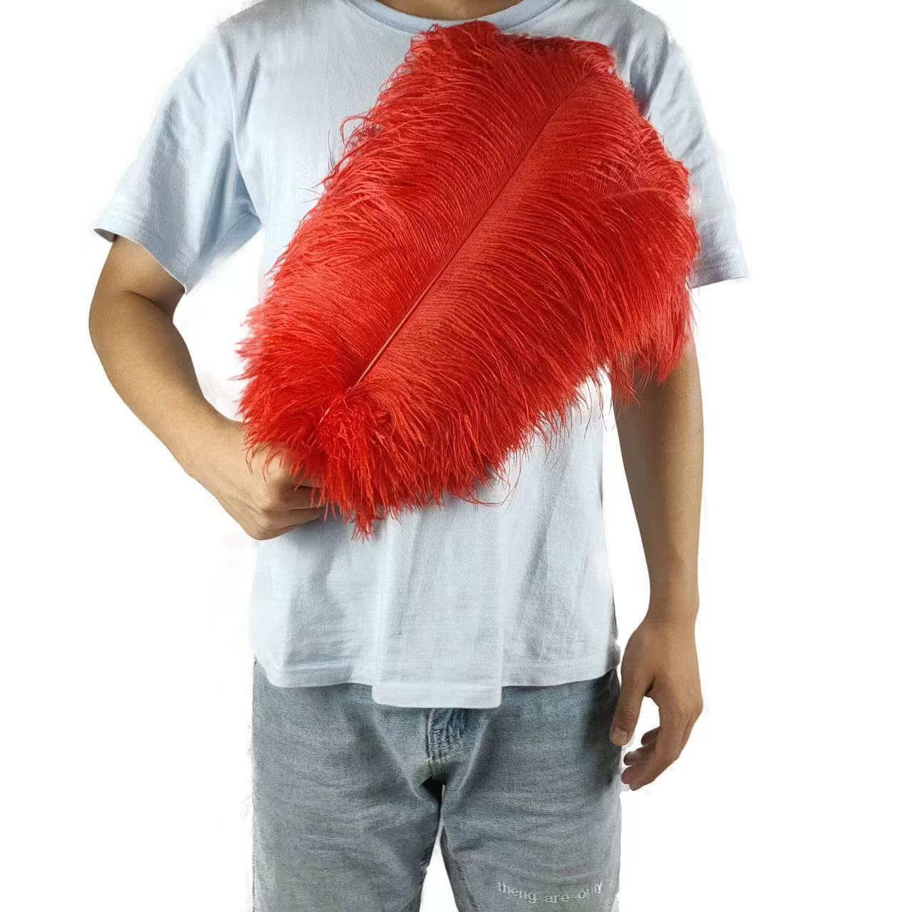 10 pièces 45-50 cm grandes plumes colorées autruche table fleur table fleur mariage décoration plumes d'autruche rouge cardinal