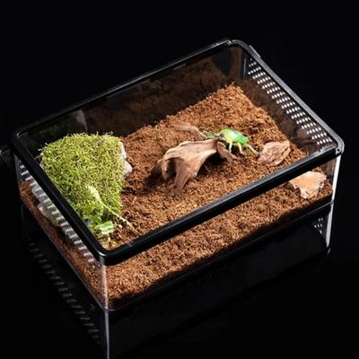 Transparent Reptile Feeding Box Breathable Anti Escape Lizard Habitat Terrarium Plastic Metal Spider Breeding Box Frog