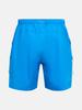 Pikeupeopomeonseu Outdoor Cargo Shorts M