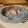 BOOTEELY All Seasons Large Dog Golden Retriever Bed Large Summer Corgi Sleeping Mat House Dog Mat