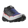 SALOMON Elixir GTX Unisex Carbon Pearl Blue Flint Stone 472961
