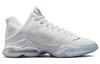 Nike X Titan LeBron 19 Low 'Beyond The Seas' DV3334-100