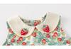 Summer 2025 Princess Dress for Girls - Baby Doll Collar Skirt