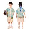 Children, Performance Clothes, Kindergarten Dance Costumes, Landscape Painting, Short-Sleeved Girls' Pleated Skirts