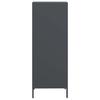 Vidaxl Szafka, Antracytowa, 35X39X103,5 Cm, Stal