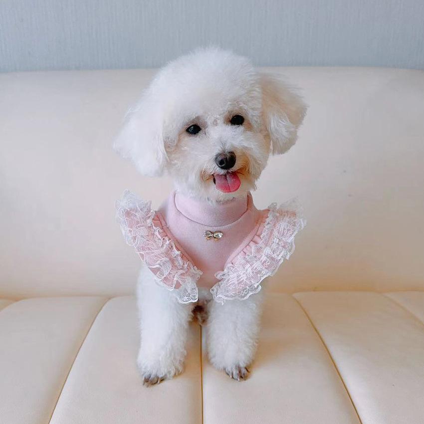 Pet Clothing Autumn and Winter Base Shirt Lace Flying Sleeves Ladies Base Vest Small Teddy Bear Dog Clothes for Small Dogs