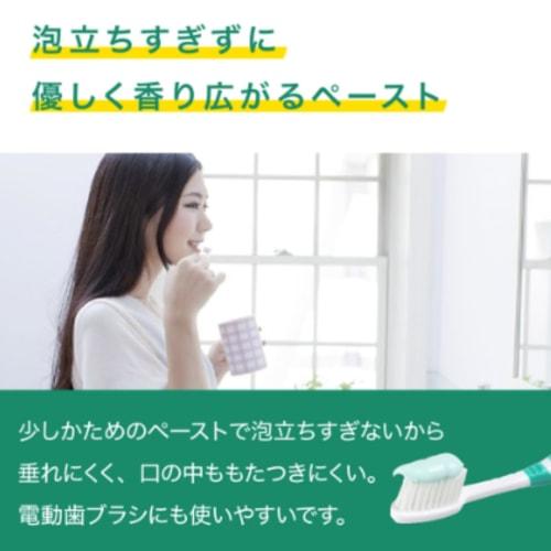 Dentis Etiquette Toothpaste, 100g, Mint