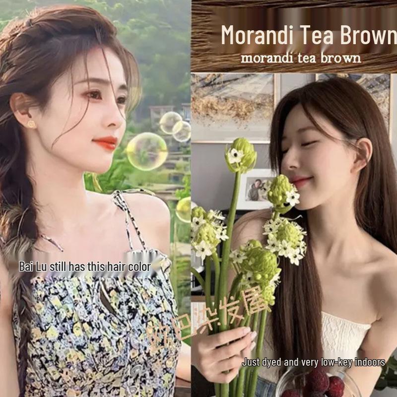 2026 Hair Dye Cream: Gray-Brown Linen, Black Tea Color, with Hair Care Benefits