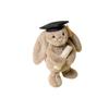 JELLYCAT Bunny Shy Graduation Dress Accompanying And Soothing Dolls Plush Doll Medium Height 31cm BAS3GRAD