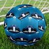 Racing Theme Size 5 Soccer Ball, Suitable for Both Indoor and Outdoor Matches, a Gift Suitable for Everyone.