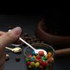 Cucchiaio per condimenti in acciaio inossidabile 304, cucchiaino per sale, cucchiaino per mescolare il caffè, cucchiaino da dessert carino, mini cucchiaino da gelato